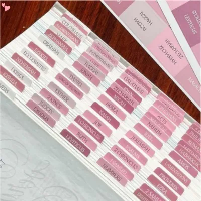 5Sheets Pink Laminated Bible Tabs Reposition Large Print Stickers Easy To Read and Apply Bible Tabs