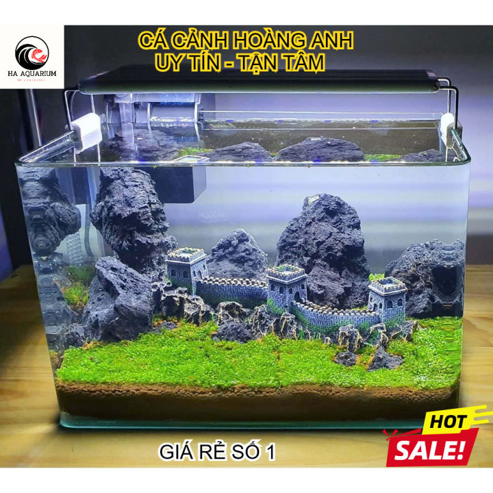 [SHIP TOÀN QUỐC] Bể kính đúc NHẬP KHẨU bo cong cạnh kính siêu trong ...