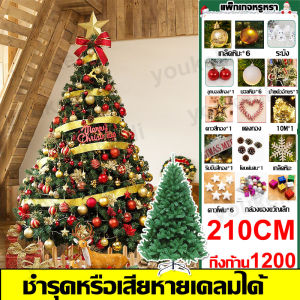 ต้นคริสต์มาส พีวีซี ต้นไม้ตกแต่ง กระดาษ ปลอม ที่มั่นคงและทนทาน ประดับตกแต่ง สีเขียว ขนาด 90/120/150/180/210/240 cm ตกแต่งคริสมาส ตกแต่งปีใหม่ PVC ต้นไม้เทศกาลคริสต์มาส christmas decoration ต้นไม้ตกแต่งบ้าน christmas tree