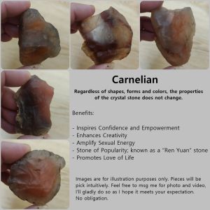 Carnelian Raw Natural Crystal Stone | Stone of Popularity | Creativity | Confidence & Empowerment