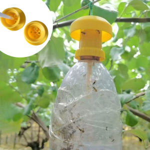 Fruit Fly Trap Killer Plastic Geel Drosophila Val Fly Catcher Pest Insect Control Voor Home Boerderij Boomgaard 6*6*2 Cm