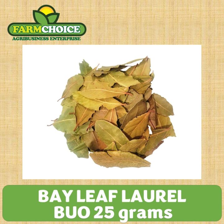 BAY LEAVES (LAUREL) 25 grams Lazada PH