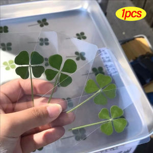 10Pcs Lucky Simulation Four-Leaf Clover Postcards Transparent Wishing Cards Ideal for Bookmarks & Decorations