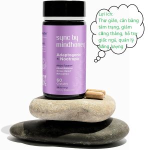 Thực phẩm sync by mindhoney Adaptogenic x Nootropic 60 capsules thư giãn cân bằng tâm trạng giảm căng thẳng hỗ trợ giấc ngủ của Mỹ
