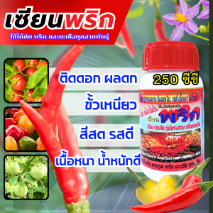 เซียนพริก 250ซีซี พริกติดดอก ผลดก ขั้วเหนียว สีสด รสดี เนื้อหนา น้ำหนักดี ปุ๋ยพริก ยาฉีดพริก ฮอร์โมนพริก