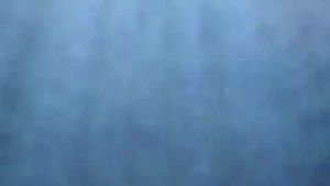 sup Cat Treats Premium Licky 15g Fish Oil Enriched Hair Health Beauty 1/5 packs for Cats Kittens