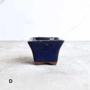 The Leaferie Bonsai (Series 84) Square plant pots. flowerpot . flowerpots . flower pot . planter Ceramic