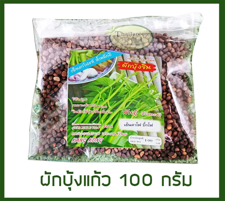 เมล็ดพันธุ์ผักบุ้งแก้ว 100 กรัม ปลูกในโอ่งได้