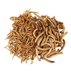 100G Spirulina Turtle Stick Floating Turtle Food High Calcium Spirulina Turtle Food
