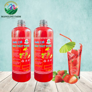[NEW] Bộ 2 chai nước cốt dâu tây Mangline Farm Đà Lạt 1000ml lên men tự nhiên đồ uống giải khát giúp sáng mắt đẹp da mặt