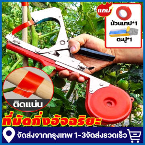 【ส่งจากไทย】เครื่องรัดต้นไม้ เครื่องรัดกิ่ง ต้นไม้ เทปรัดกิ่ง เหล็กกล้าไร้สน กรรไกรรัดกิ่งไม้ เทปรัดกิ่ง คีมรัดกิ่ง Tape Tool สำหรับพืชตะกูลไม้เลื้อย เครื่องผูกยอด รัดกิ่ง ผูกยอด กิ่งองุ่น เมล่อน เครื่องมัดกิ่งไม้