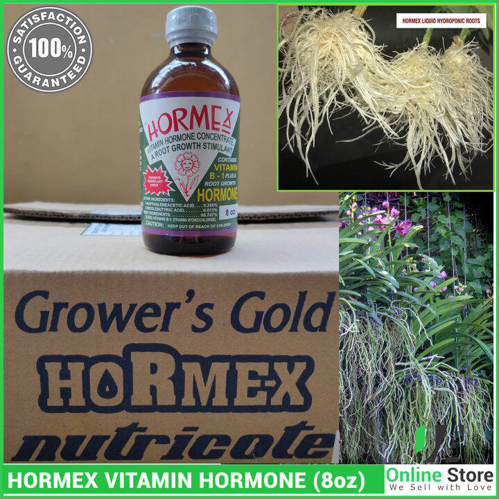 Original Hormex Root Growth Stimulant & Vitamin Hormone (Original) 8oz ...