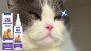 Pet Eye Drops Pet Eye Wash 50ml | Gentle Eye Rinse for Dogs & Cats Helps Clean Eye Discharge