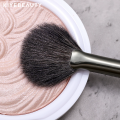 Cọ Đánh Highlight Bắt sáng Dạng Quạt KIYE Lông Tự Nhiên Chuyên Nghiệp Mềm Mại. 