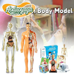 Aoduoyaya Human Body Skeletal Organs Teaching Model Montessori Science Cognitive Puzzle Toy for Kids Learning