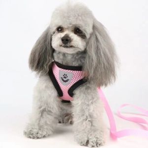 【Ready Stock】Pet Cat Dog Harness Puppy Fashion Mesh Vest + with Leash Lead Set