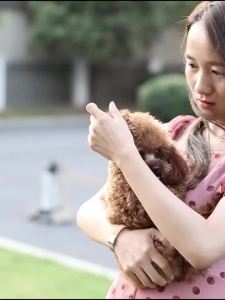 朗博特/LANBOTO内外同驱猫咪驱虫药内外一体高效驱杀宠物不含农药Lambert/lanboto internal and external repellent feline insect repellent is an effective internal and external repellent for pets without pesticide