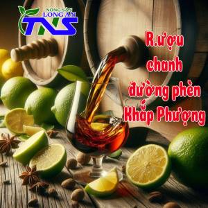 FreeShip-Rượu chanh khắp phượng Long An 500ml - món quà tặng thiết thực