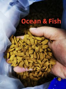 Visscay Cat Dry Food 10 kg (Repack) /Makanan Kucing