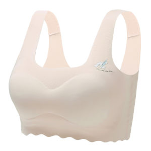 Đồ Lót Tuổi Teen Áo Lót Nữ Có Đệm Cao Su Áo Ghi Lê Ống Lụa Băng Quấn Ngực Học Sinh Trung Học Cơ Sở Cấp 3 Tuổi