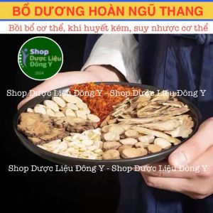 Bổ Dương Hoàn Ngũ Thang - 1 Thang Dùng 1 Ngày