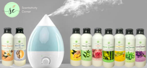 50 ml FRESH BAMBOO Reed Diffuser Hotel Scents w/ Free Reed Sticks for Home Fragrance - SCENTSITIVITY CORNER