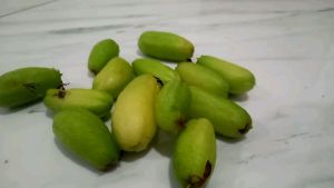 belimbing sayur asli segar 50 gram