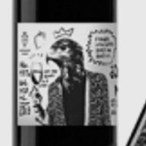 GOURMET 1x 750ml NATENADZE MESKHURI QVEVRI WHITE WINE - NATURAL WINE FROM WILD GROWING NATIVE GRAPES VARIETAL DISCOVER IN GEORGIAN FOREST