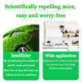 【Effective】Rat Repellent Sprays Mouse Flee Anti Rat Spray Can Repel Mice, Cockroaches, Mosquitoes, Geckos, Etc. Can Be Used In Various Places Household Car Mouse Killer Rodent  Repellent Powerful Rodent Repellent. 