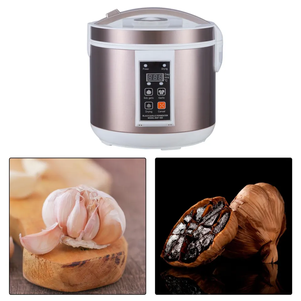 Fityle Black Garlic Fermentation Pot Garlic Ferment Pot for - Main Image