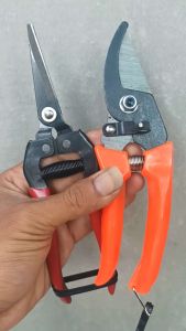 Paket Murah Gunting Pruning & Gunting Dahan