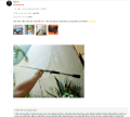 Big Sale cần ngang / CẦN MÁY NGANG FALCHION C802M - câu lure mồi giả cá lóc chẽm. 
