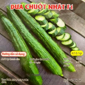 Hạt giống Dưa chuột (Dưa leo) Baby Dưa chuột kiếm Nhật lai F1 - Gói 0.1gr - Trồng quanh năm