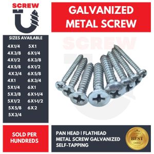 GALVANIZED METAL SCREW #4 #5 #6 (100PCS) SELF-TAPPING PANHEAD | PANHEAD
