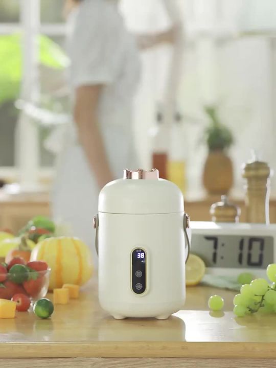 New Rice Cooker Small 600ML Electric Cooker Multifunctional Electric ...