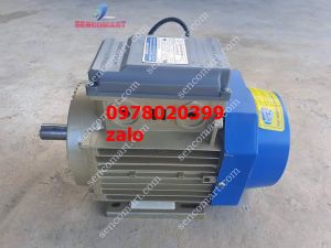 Mô tơ điện 15kw(2hp)2900v/p động điện 1 pha hãng toàn phát