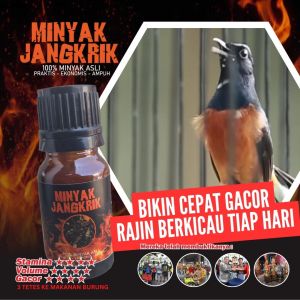 MINYAK JANGKRIK - MEMPERCEPAT PROSES GACOR PADA BURUNG BERKICAU KEMASAAN 10 ML