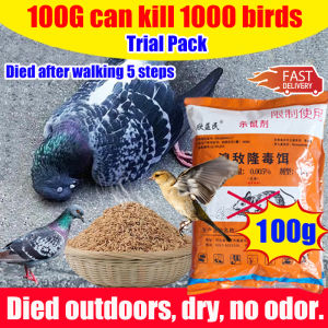 Penghalau burung luar Birds die outside Bird poison 500g Died after walking 5 steps anti bird 100% kill birds pigeons crows sparrow Birds favorite food Racun burung merpati Pigeons repellent Penghalau burung merpati Bird repellent outdoor 鸟药 防鸟神器