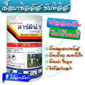 ลาร์มิน่า เชื้อแบคทีเรีย บาซิลลัส ซับทีลีส ขนาด 1000g (Bacillus subtilis) เข้มข้น 1x109 cfu/gm 1 กิโลกรัม. 