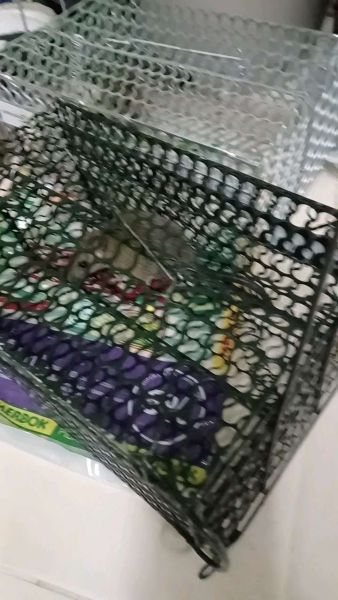 Buyer review video 2