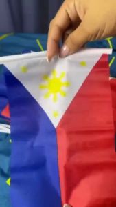 10Pcs Small Philippine National Flag Bandila Watawat Ng Pilipinas Mini Hand Held Flag W Stick