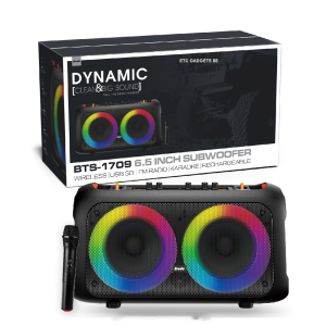 Double 6.5 Portable Bluetooth Karaoke Speaker with Wireless MIC and AUX USB/ SD Card FM Radio Wireless Bluetooth Speaker