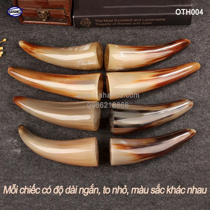 Ch%C3%B3p%20s%E1%BB%ABng%20b%C3%B2%20Ch%C3%A2u%20Phi%20-%20v%E1%BA%ADt%20ph%E1%BA%A9m%20phong%20th%E1%BB%A7y-%20HOT%20nh%E1%BA%A5t%20c%E1%BB%A7a%20n%C4%83m%20tr%C3%A2u%20v%C3%A0ng%202021%20-%20gi%C3%A0u%20sang/ph%C3%BA%20qu%C3%BD%20(OTH004)%20HAHANCO%20-%20Image%205