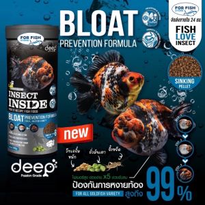 Deep Bloat Prevention : อาหารปลาทองสูตรสุขภาพ ป้องกันท้องอืด ช่วยขับลม