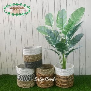 Pohon Plastik Musa Florida X18 Semi Latex Artificial Pot Dasar Cover Seagrass Pajangan Rumah Aesthetic Dekorasi Ruang Tamu
