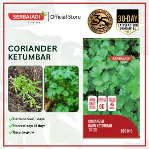 Serbajadi Vegetable Seed Coriander Late Bolt Coriander | Leafy Vegetable | Soup Leaf | Biji Benih Daun Ketumbar | 芫荽籽 1g