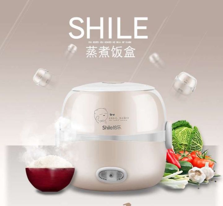 MINI Rice Cooker Thermal Heating Electric Lunch Box 2 Layers Portable ...