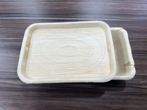 Pick A Leaf Areca Palm Eco-Friendly Disposable Rectangular Plates - 500 ML 10-Pack in Eco-Sized Multipack Box