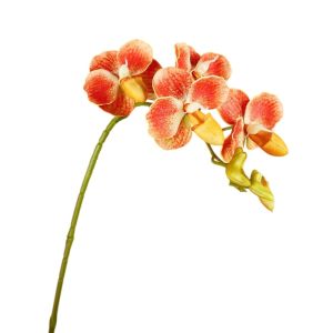 COUPLECOL 67cm 2638 inch Cành lan bướm nhân tạo Nhựa Cảm giác như thật Hoa giả Cắm hoa Thanh lịch Hoa Lan EVA Trang trí văn phòng tại nhà