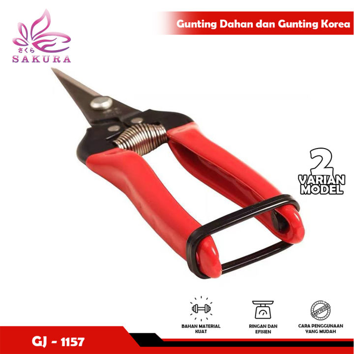 Maskaning ogli jinsiy porno tomosha qiling